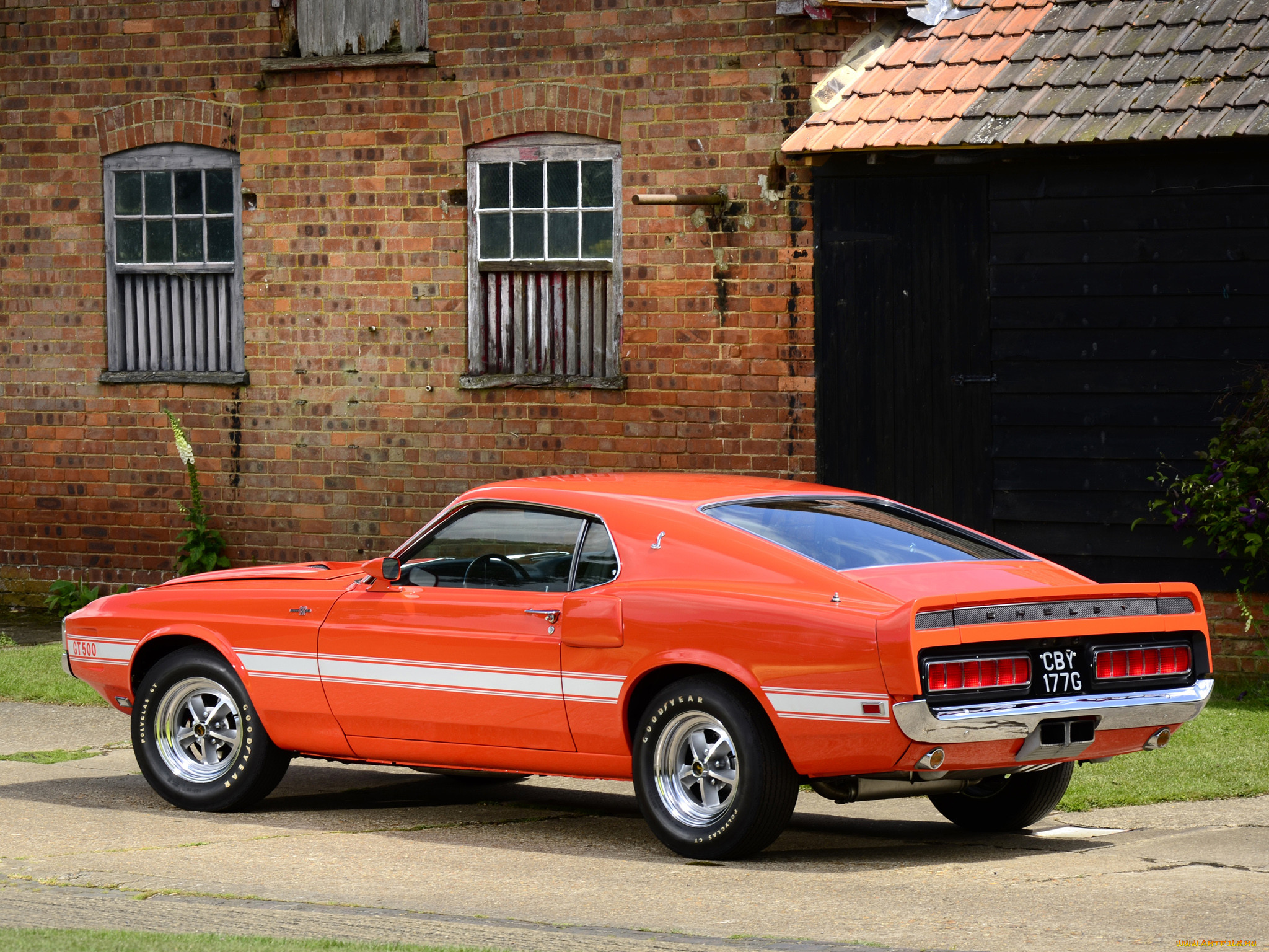 shelby, gt500, , mustang